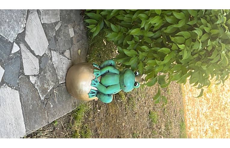 Foto 4