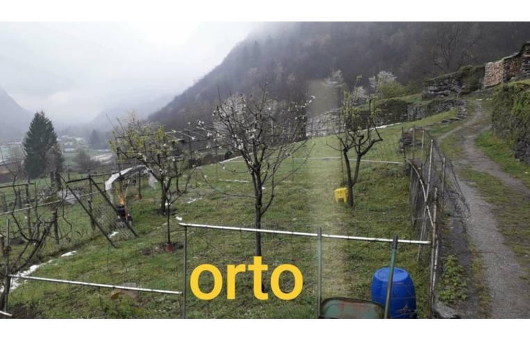 Foto 8