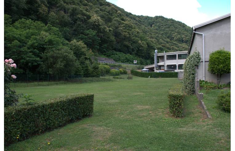 immagine annuncio 6 di 7