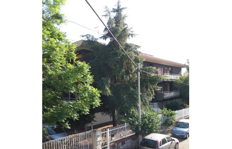 Single room in the Circonvallazione area, Catania — €290/month