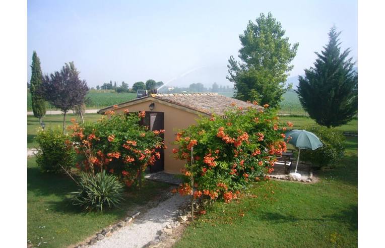 immagine annuncio 4 di 6