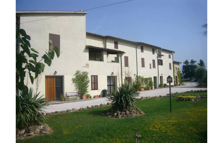 immagine annuncio 5 di 6