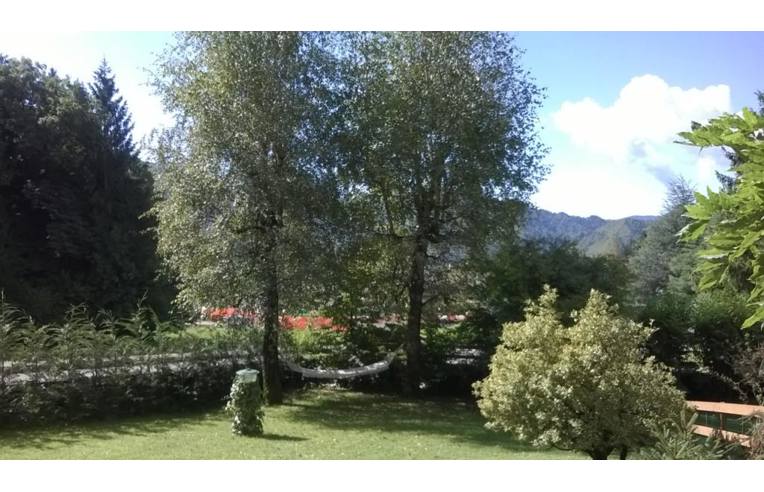 immagine annuncio 5 di 7