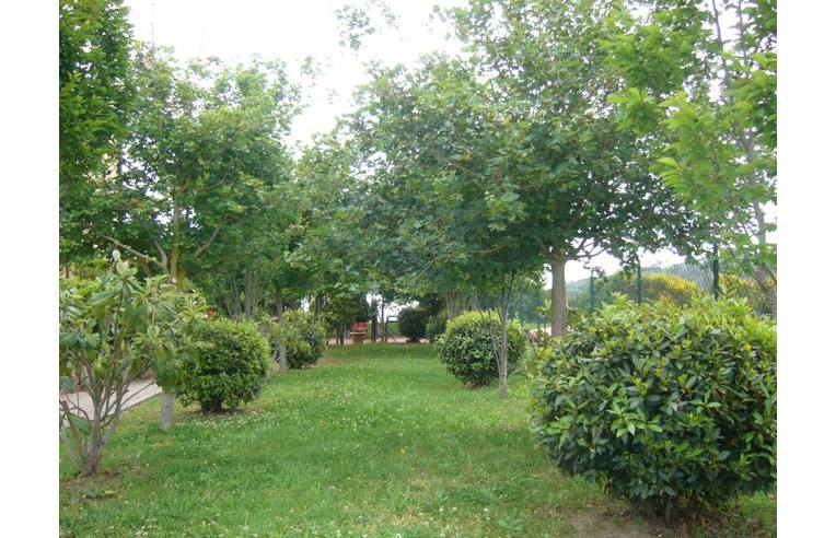 Foto 2 - Appartamento in Vendita da Privato - Gambassi Terme (Firenze)
