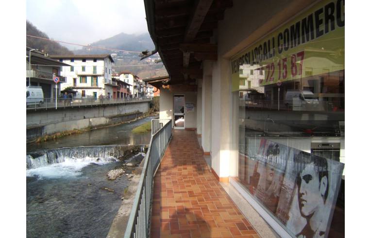 immagine annuncio 5 di 7
