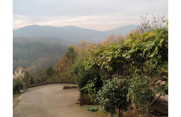 immagine annuncio 1 di 7