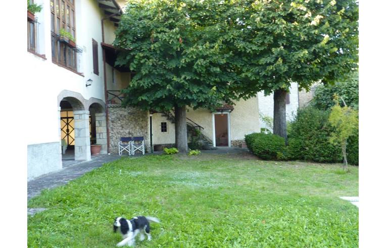 immagine annuncio 1 di 7