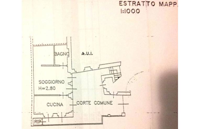 immagine annuncio 6 di 7