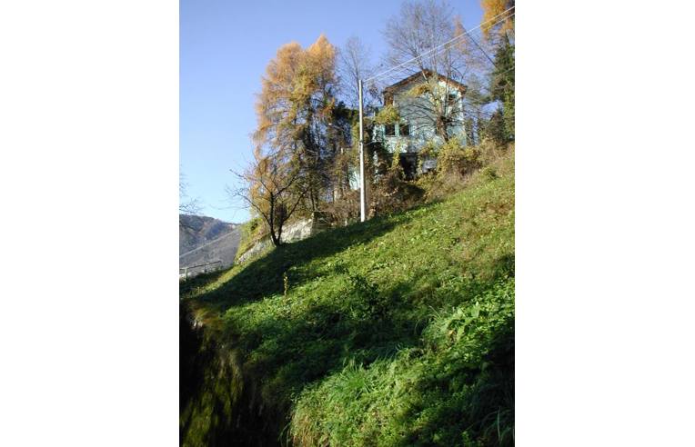 immagine annuncio 3 di 4