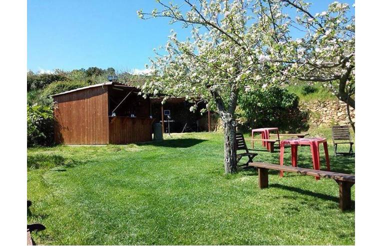 Foto 6 - Attività Azienda Agricola in Vendita da Privato - Sinnai (Cagliari)