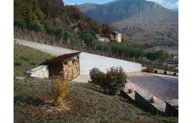 immagine annuncio 5 di 7