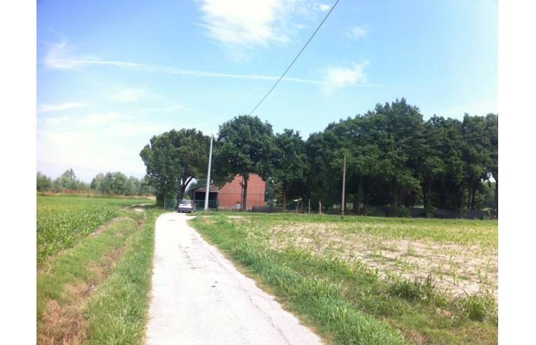 immagine annuncio 6 di 7