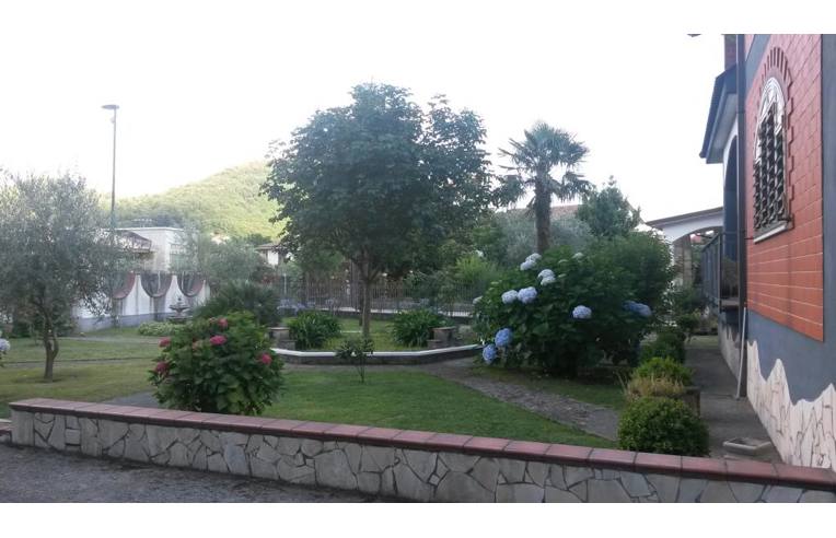 immagine annuncio 4 di 6