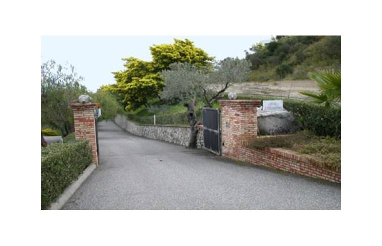immagine annuncio 6 di 7