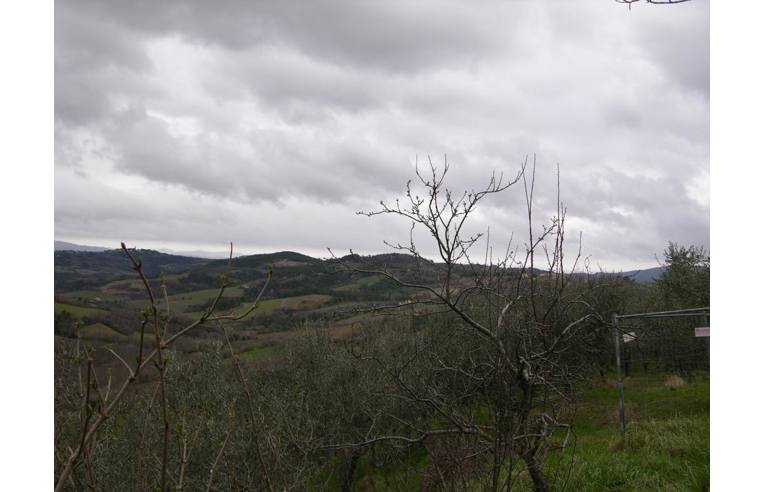 immagine annuncio 3 di 7