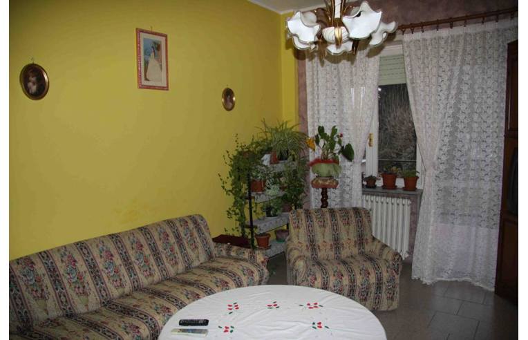 immagine annuncio 1 di 7