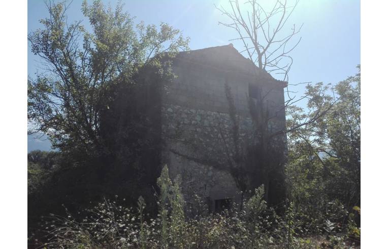 immagine annuncio 5 di 6