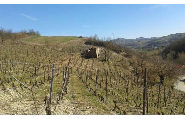 immagine annuncio 1 di 2
