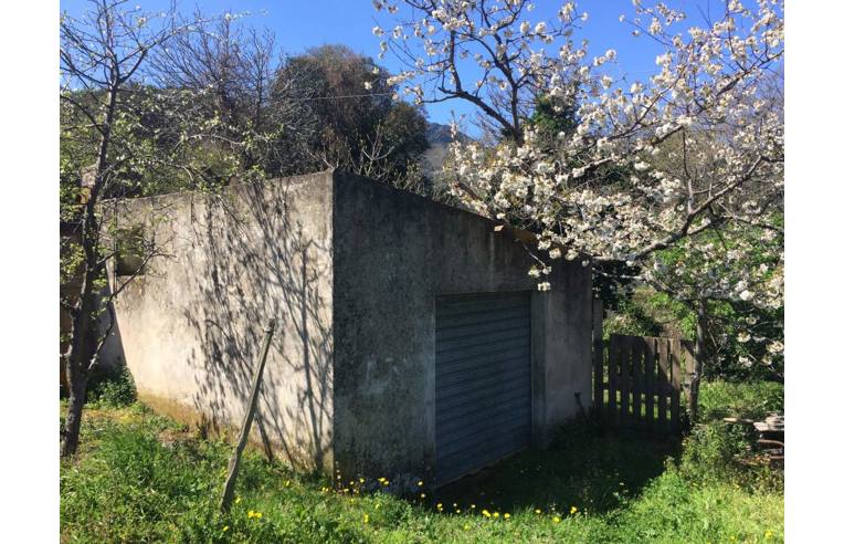 immagine annuncio 1 di 3