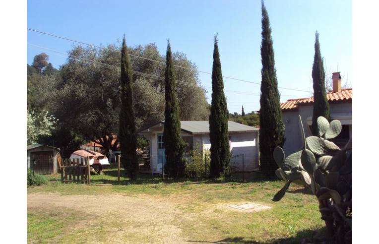 immagine annuncio 3 di 7