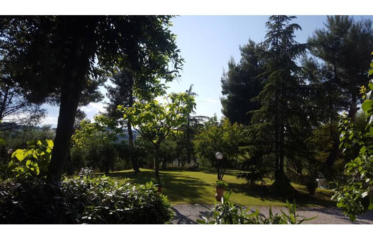 immagine annuncio 3 di 7