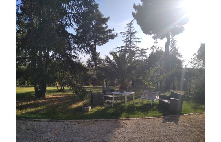 immagine annuncio 6 di 7