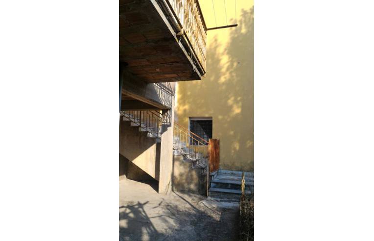 immagine annuncio 4 di 7