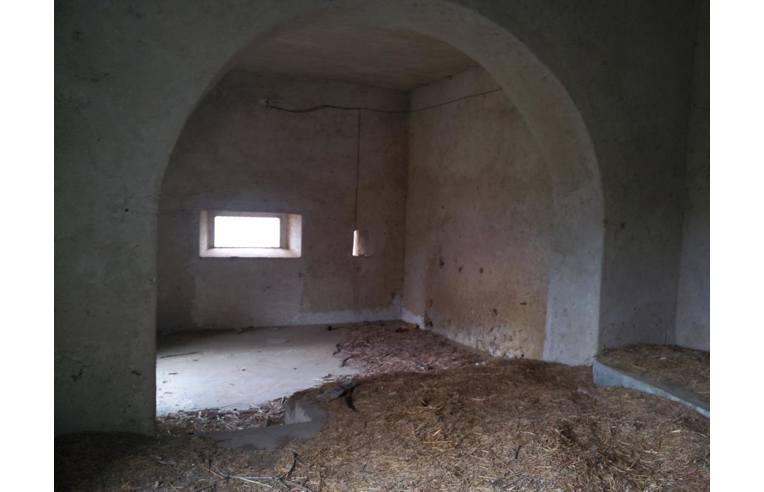 immagine annuncio 4 di 7