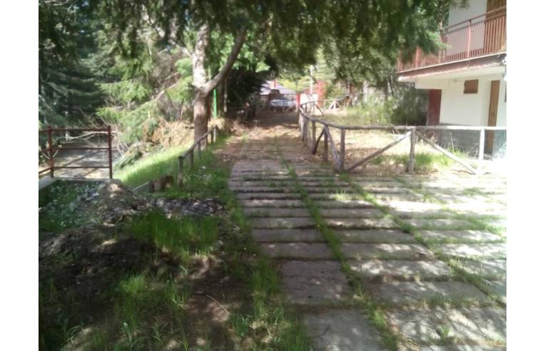 immagine annuncio 4 di 7