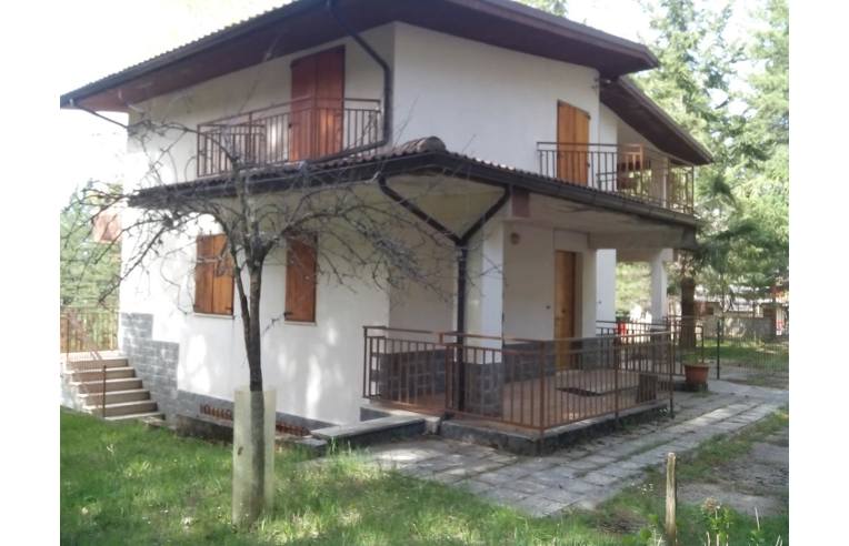 immagine annuncio 2 di 7