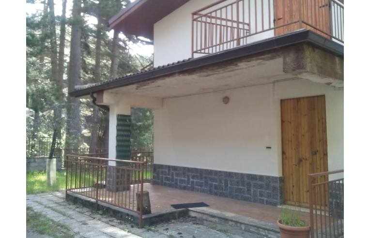 immagine annuncio 3 di 7