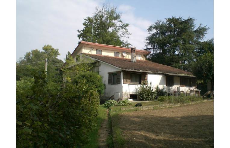 immagine annuncio 6 di 7