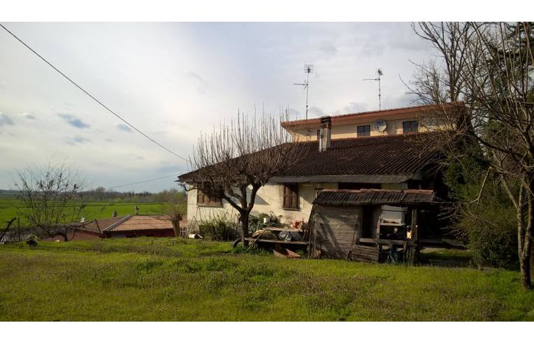 immagine annuncio 2 di 7