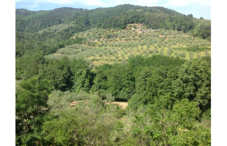 immagine annuncio 2 di 7