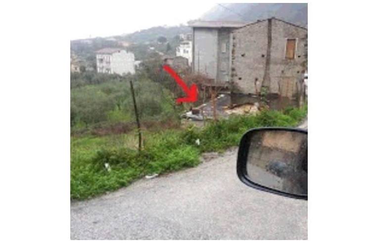 immagine annuncio 2 di 7