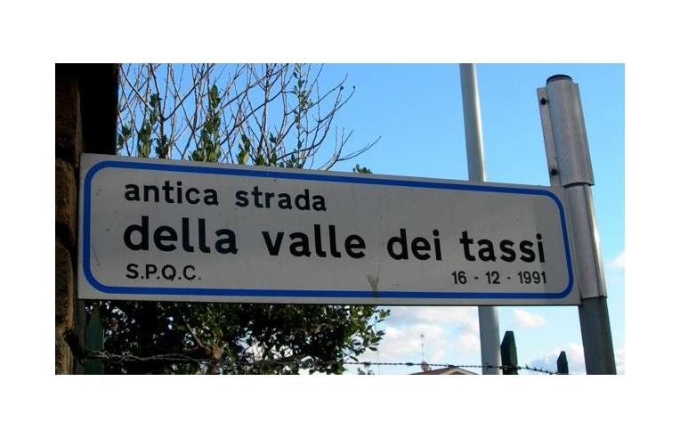 immagine annuncio 5 di 6