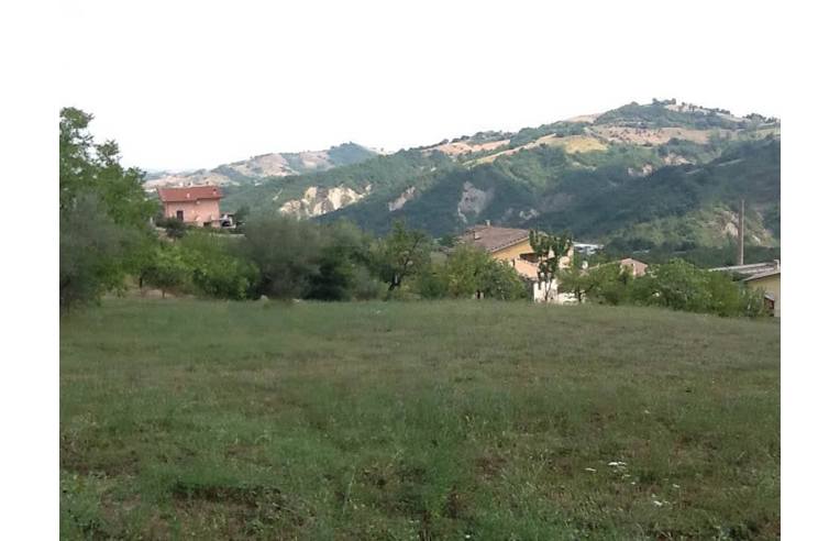 immagine annuncio 3 di 6