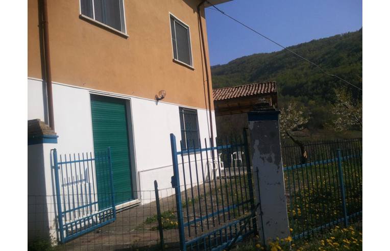 immagine annuncio 3 di 7