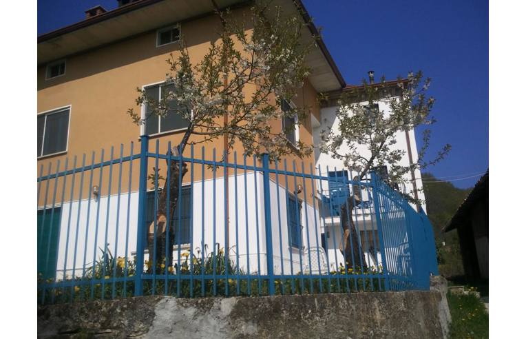 immagine annuncio 6 di 7