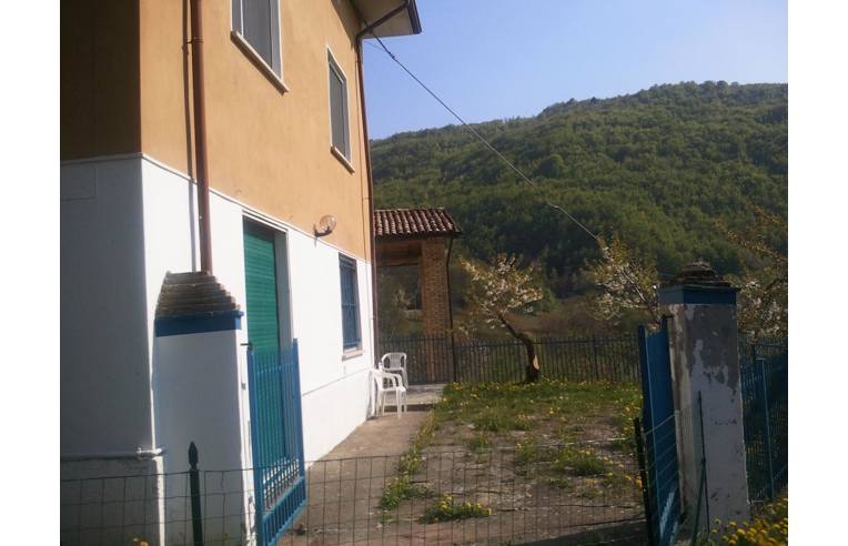 immagine annuncio 4 di 7