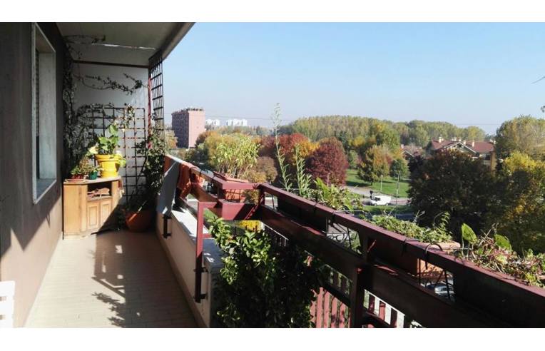 immagine annuncio 5 di 7