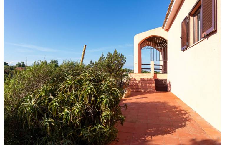 Foto 8 - Villa in Vendita da Privato - La Maddalena (Olbia-Tempio)