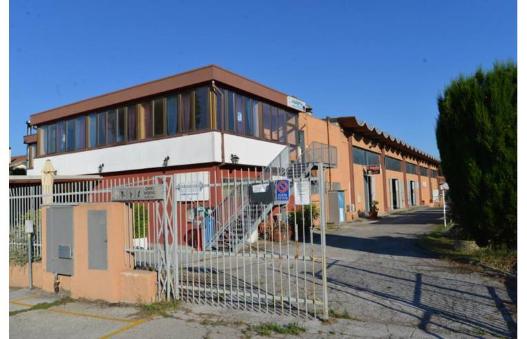 immagine annuncio 2 di 7