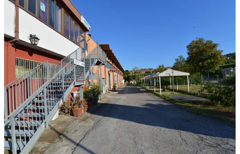 immagine annuncio 3 di 7