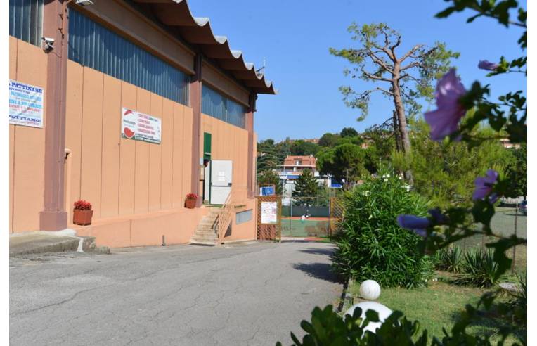 immagine annuncio 4 di 7