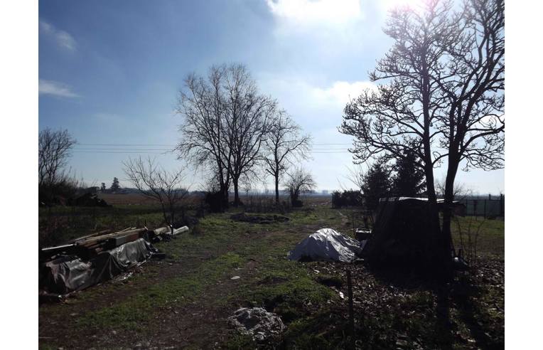 immagine annuncio 6 di 7
