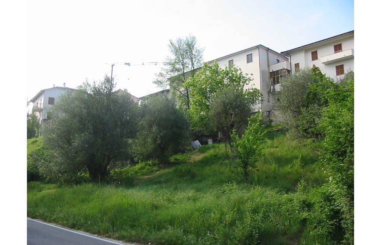 immagine annuncio 1 di 7