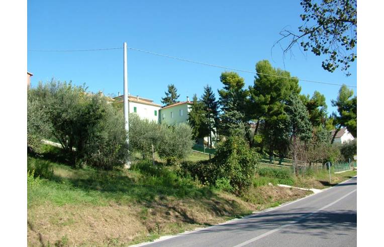 immagine annuncio 4 di 7