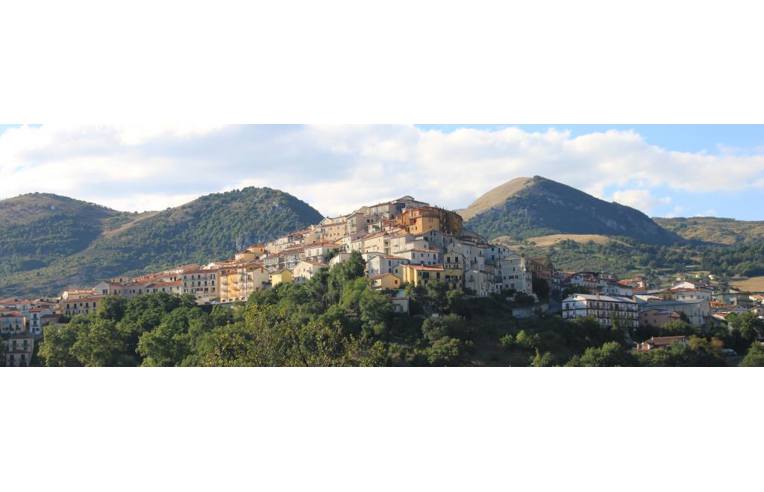 immagine annuncio 1 di 7