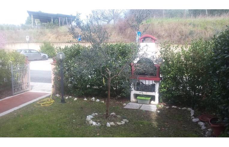 immagine annuncio 2 di 6